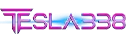 Logo TESLA338